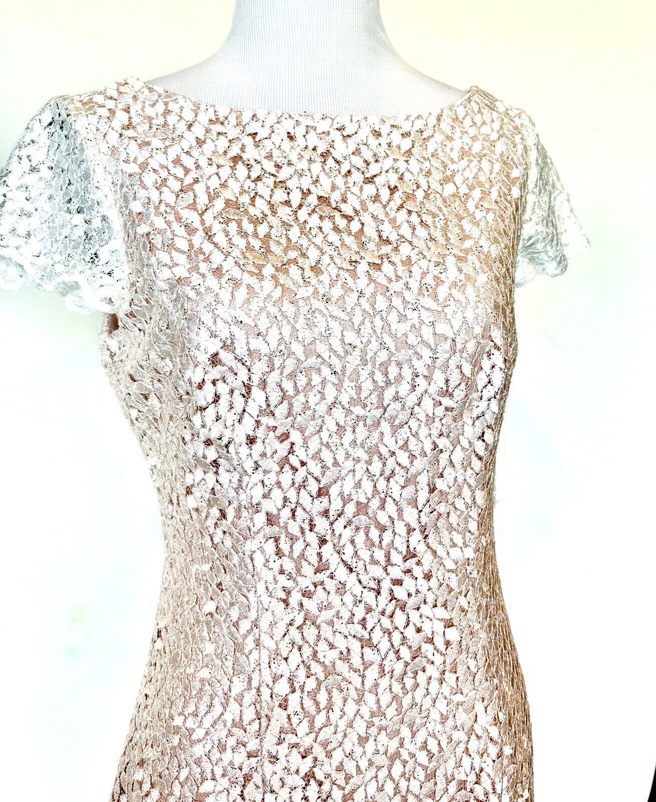 Eliza J Pink Ombre Lace Sparkle Dress Retail $188 Size 2 Blush Pink