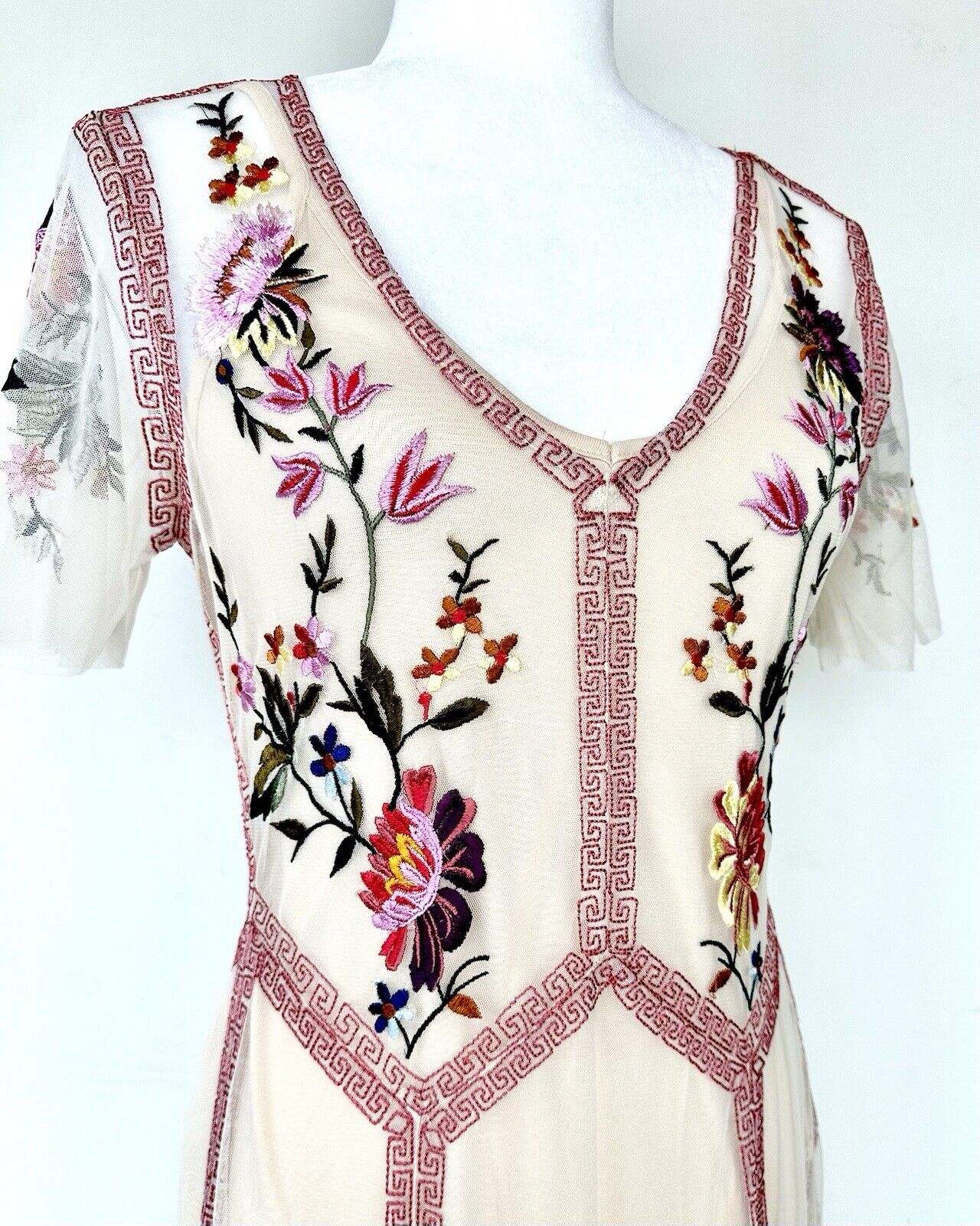 Sundance Garden Soirée Dress Embroidered Mesh Top Layer Retail $268 Champagne XS