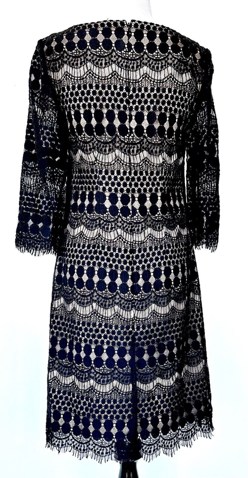 Eliza J Black Lace Dress Retails $169 Size 2 3/4 Length Sleeve