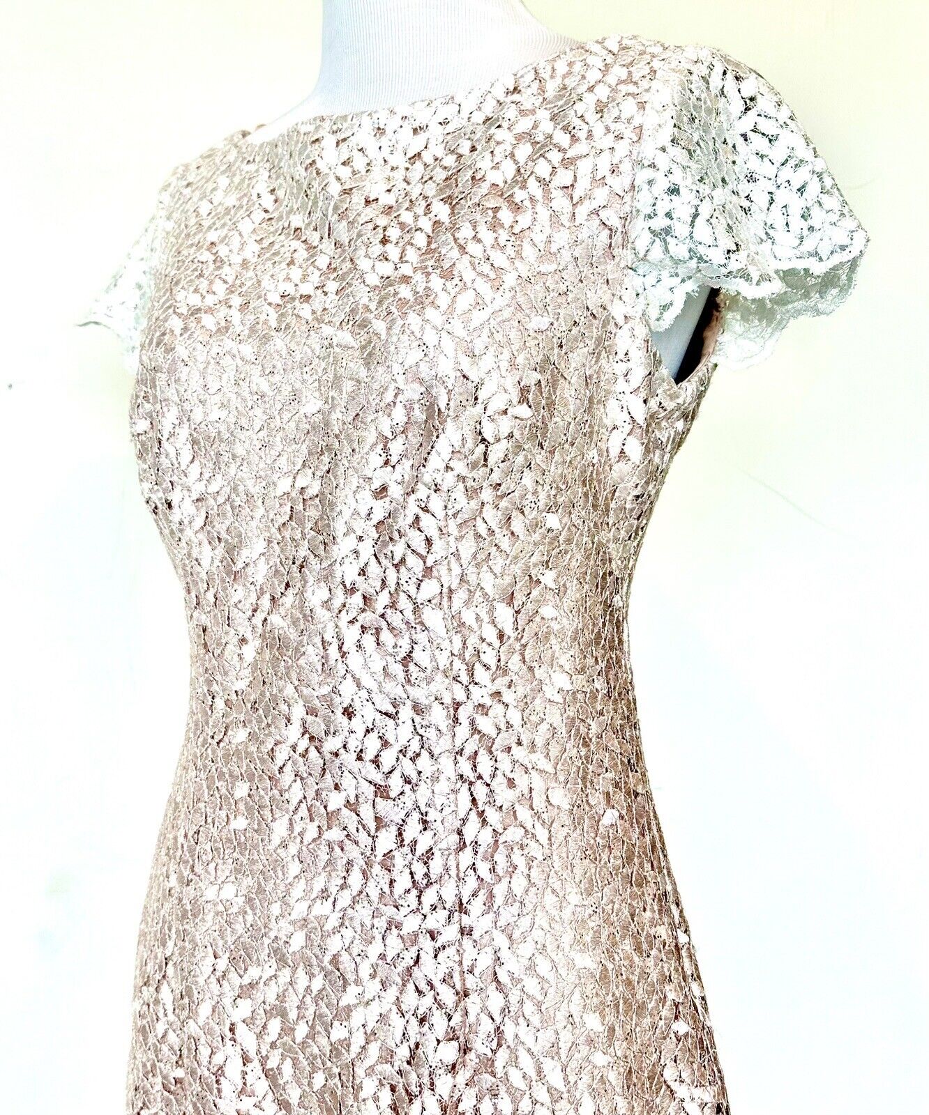 Eliza J Pink Ombre Lace Sparkle Dress Retail $188 Size 2 Blush Pink