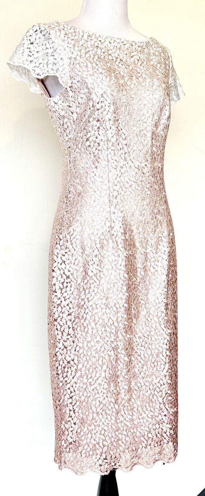Eliza J Pink Ombre Lace Sparkle Dress Retail $188 Size 2 Blush Pink