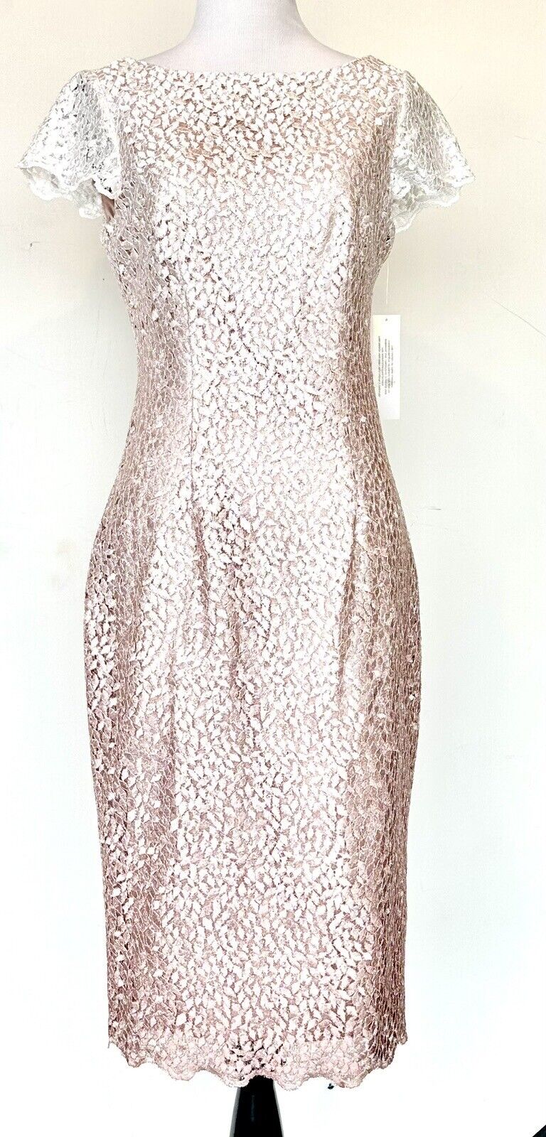 Eliza J Pink Ombre Lace Sparkle Dress Retail $188 Size 2 Blush Pink