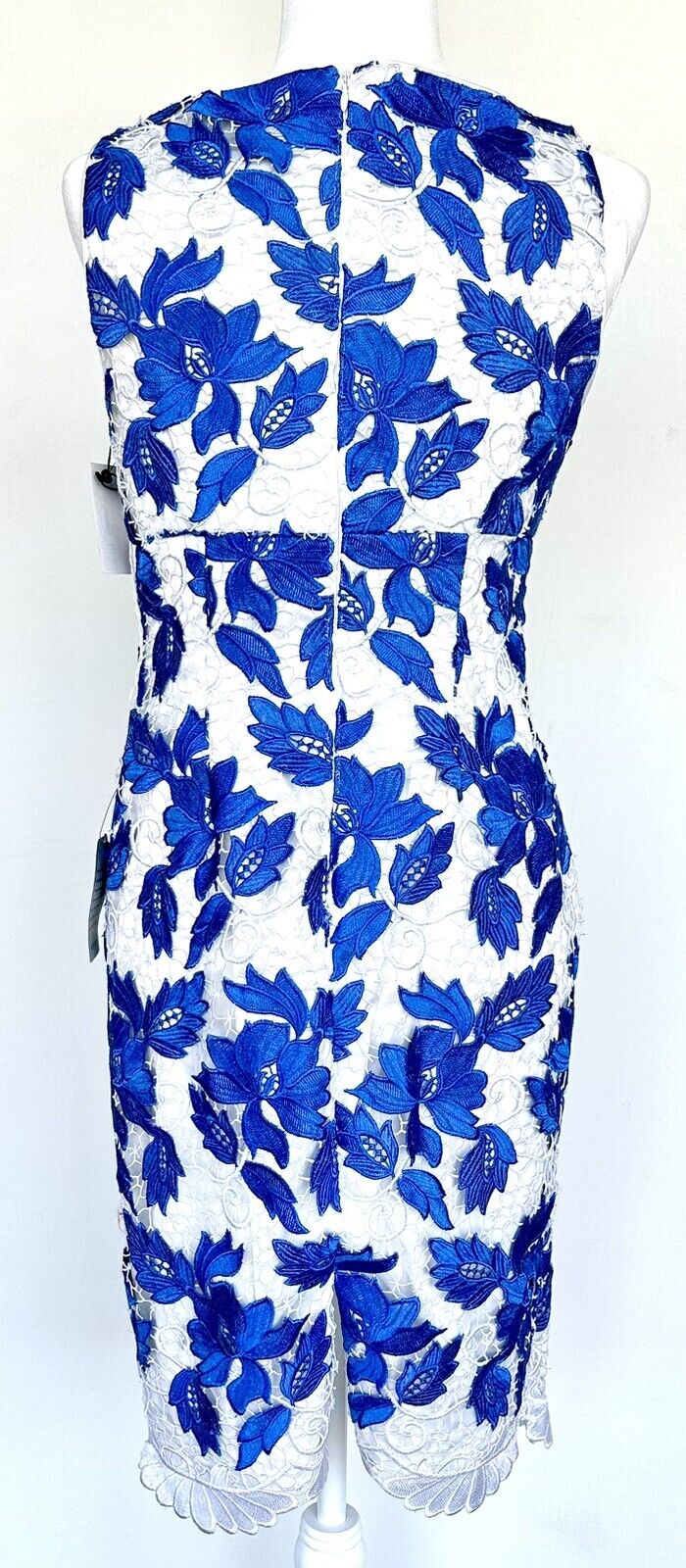 Adrianna Papell Lace White Blue Sheath Dress NWT  Size 4 Retails $189  Price $95