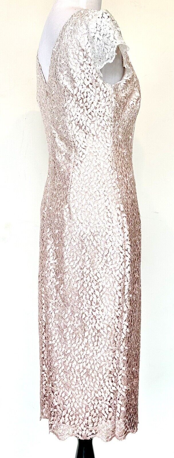 Eliza J Pink Ombre Lace Sparkle Dress Retail $188 Size 2 Blush Pink