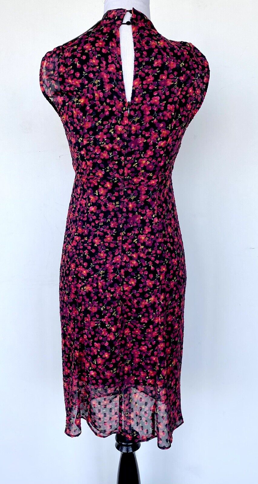 Allsaints Aldine Cheri Blossom Chiffon Dress NWT Size 0 Retail $260 Price $130
