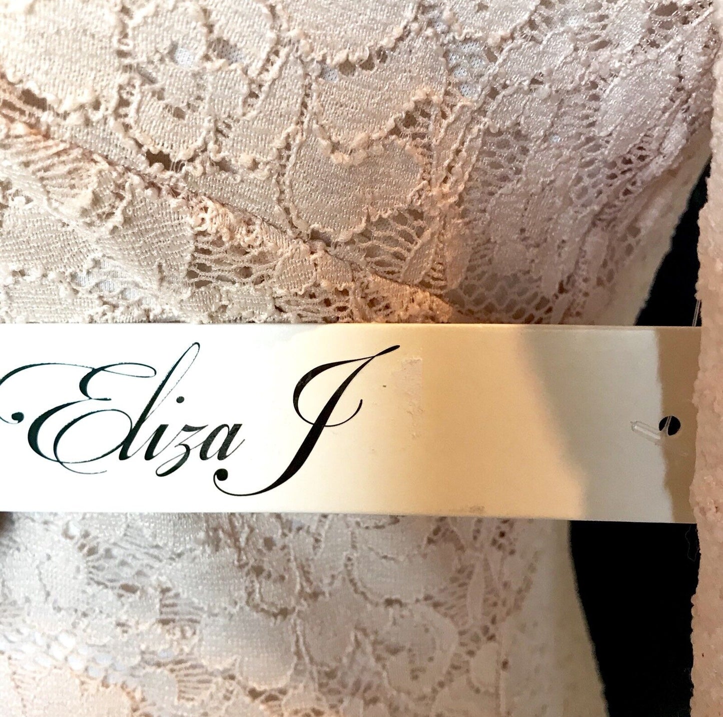 Eliza J Nude Lace Dress NWT Retails $128 Price $68 Size 4