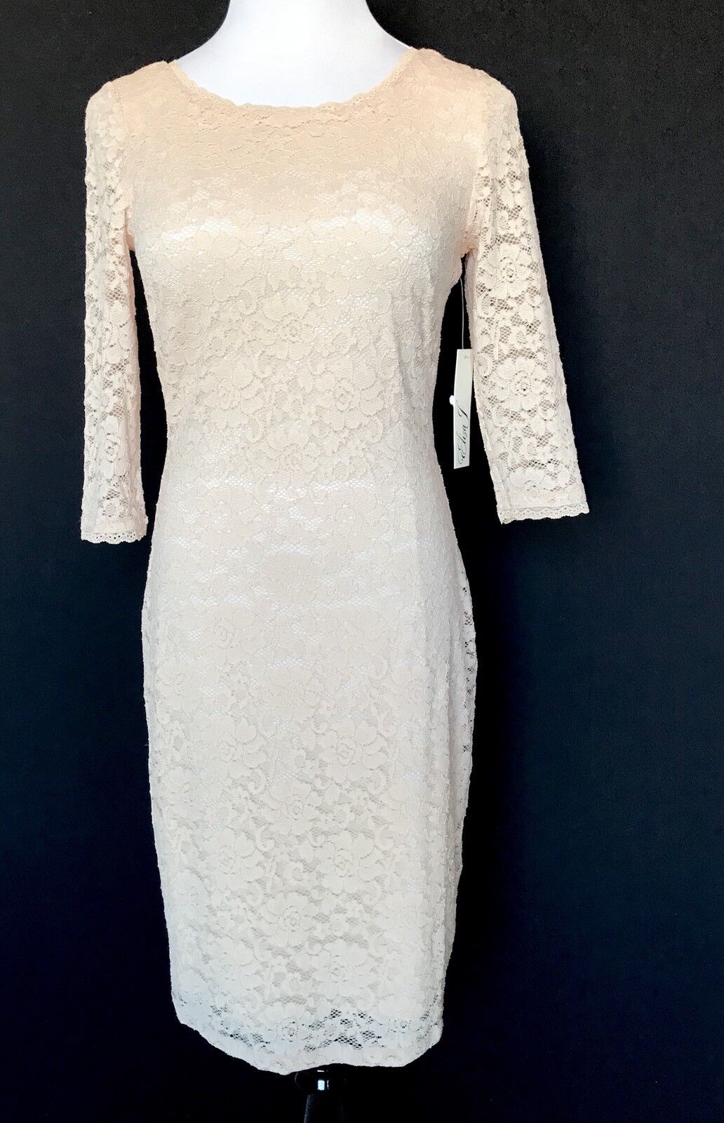 Eliza J Nude Lace Dress NWT Retails $128 Price $68 Size 2