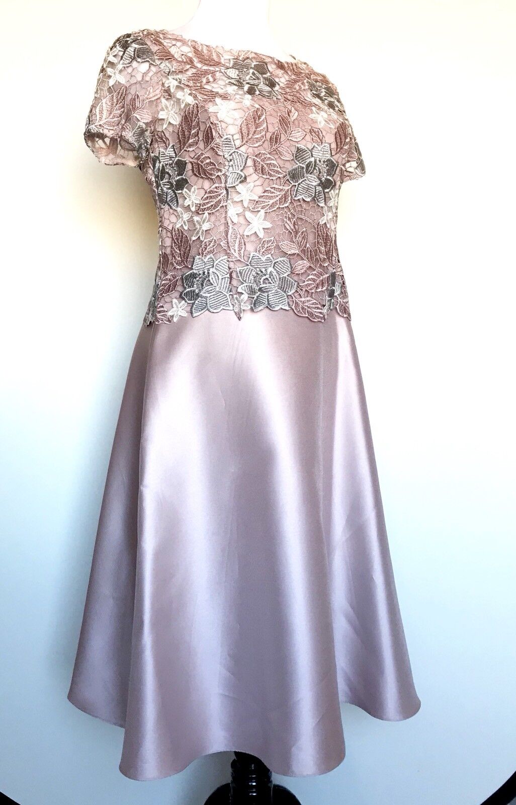 Adrianna Papell Pale Lilac Lace Body Formal Dress Size 8 Retail $229  Price $139