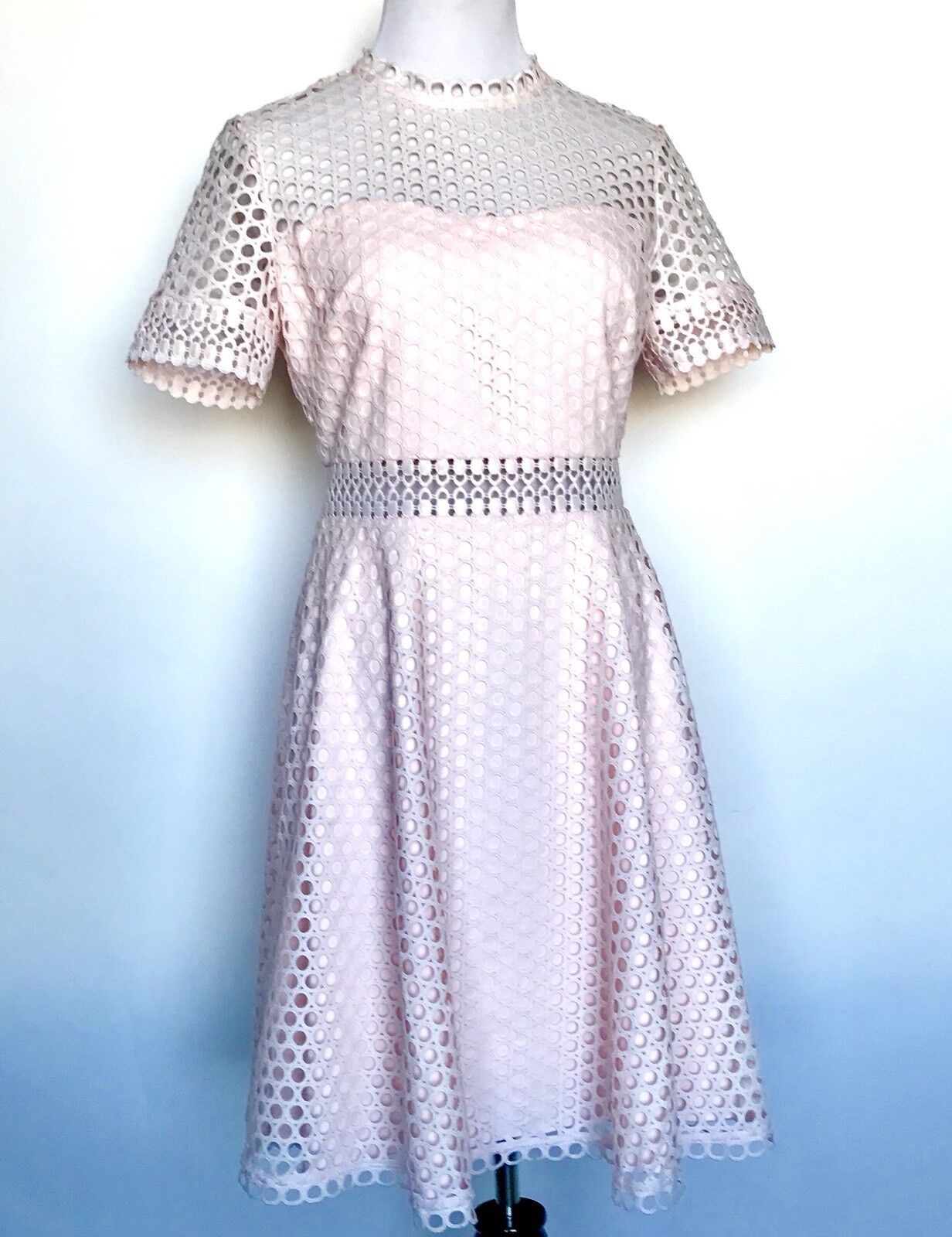 Ted Baker Nude Pink Lace Skater Dress Size 8 Retail $345 Price $207 NWT