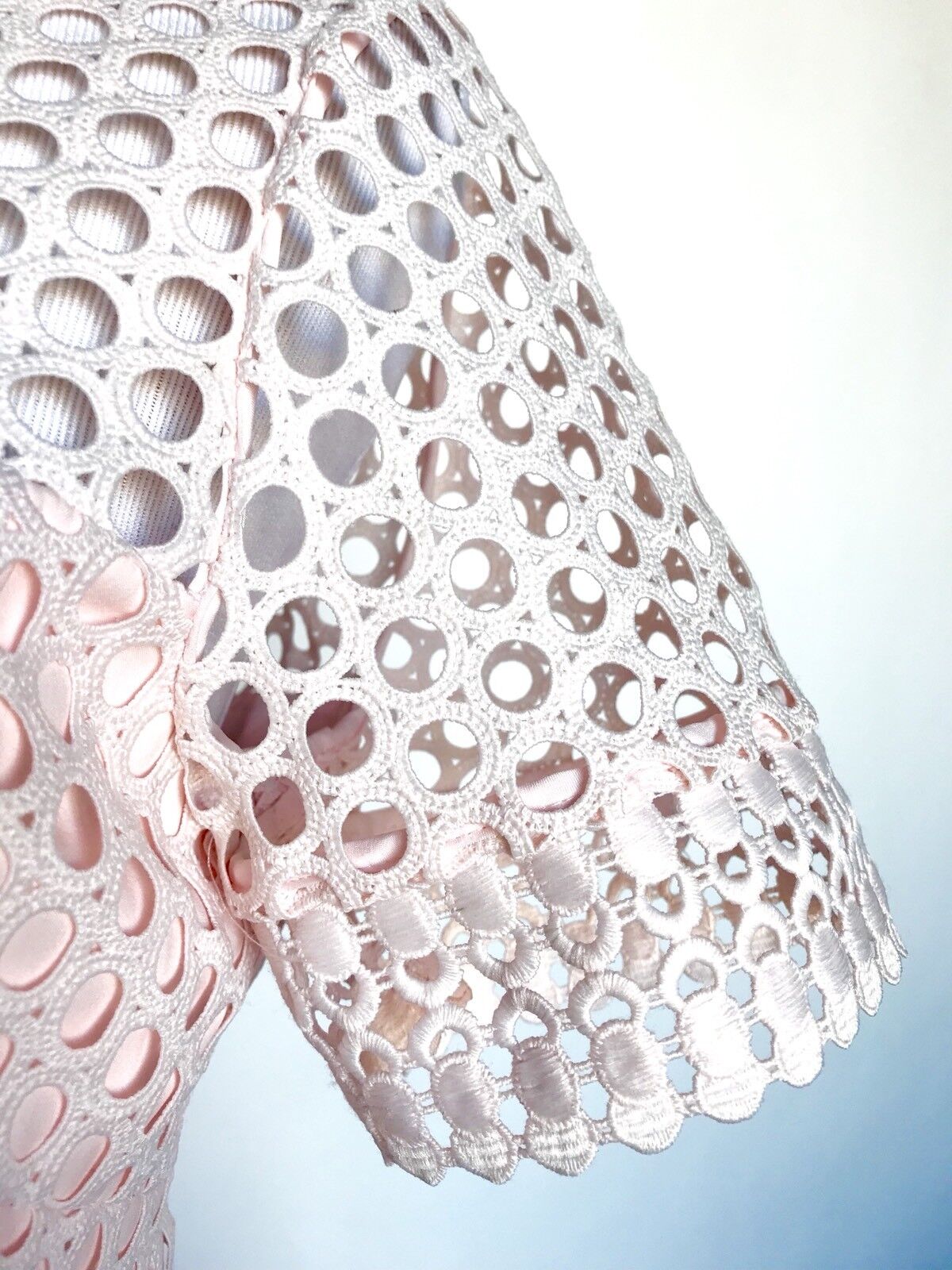 Ted Baker Nude Pink Lace Skater Dress Size 8 Retail $345 Price $207 NWT