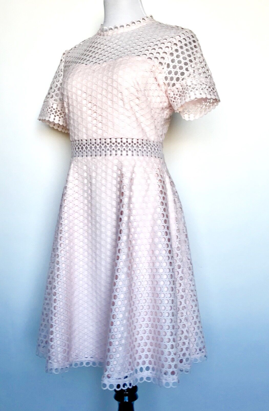 Ted Baker Nude Pink Lace Skater Dress Size 8 Retail $345 Price $207 NWT