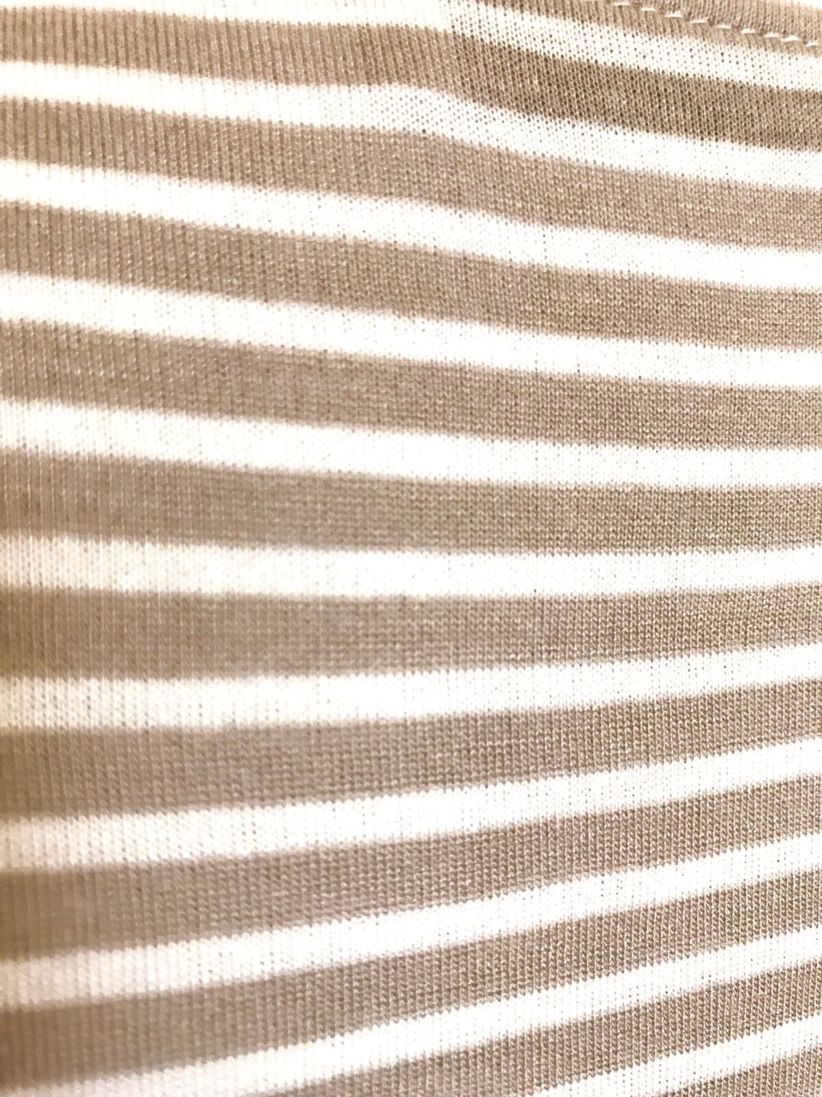 AllSaints Taupe & Cream Evis Bar Vest Top NWT Retail $50 Price $32 All Saints M