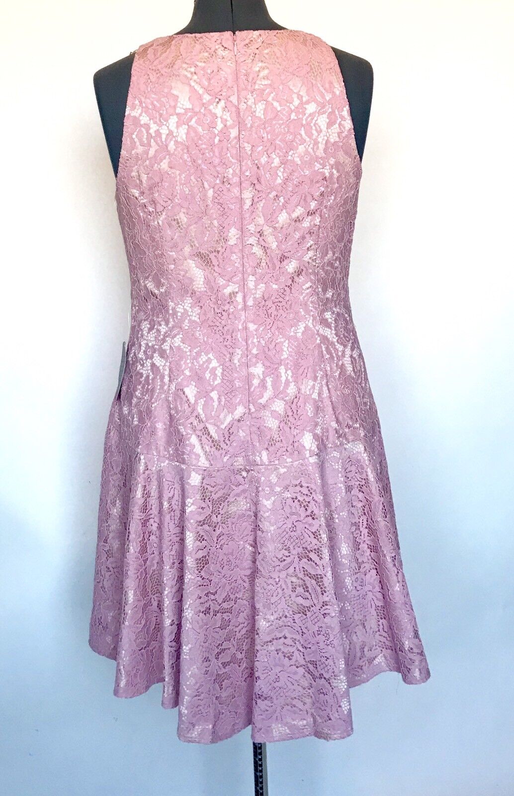 Eliza J Pink Lace Drop Waist Shift Dress NWT Retails $168 Price $69 Size 12