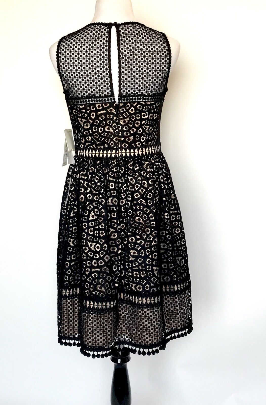 Eliza J  Black Lace Crochet Net Skirt  Dress NWT Retails $178 Price $82 Size 10