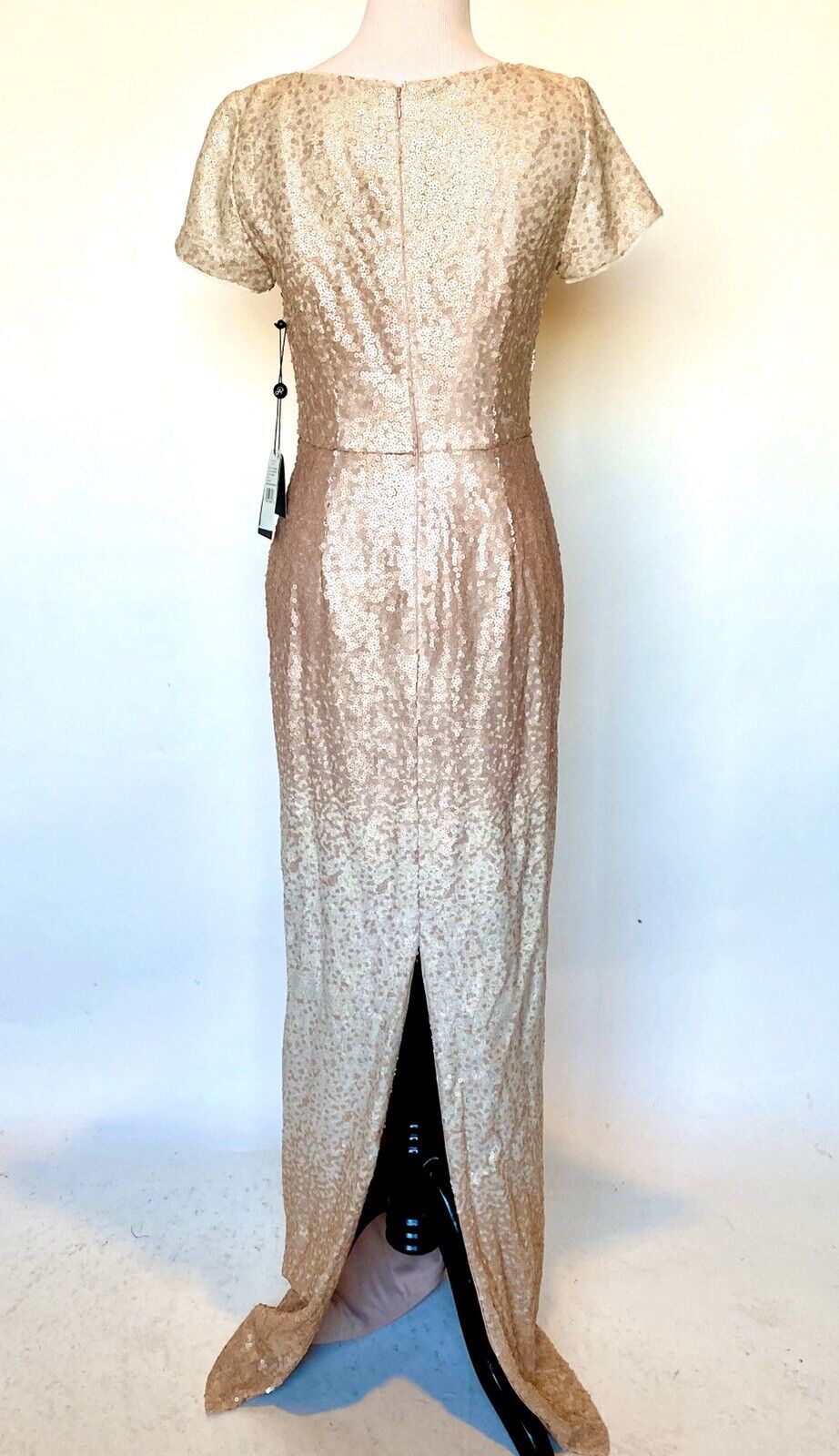 Adrianna Papell Pink Blush Ombré Sequin Gown NWT Size 2 Retails $249 Price $96