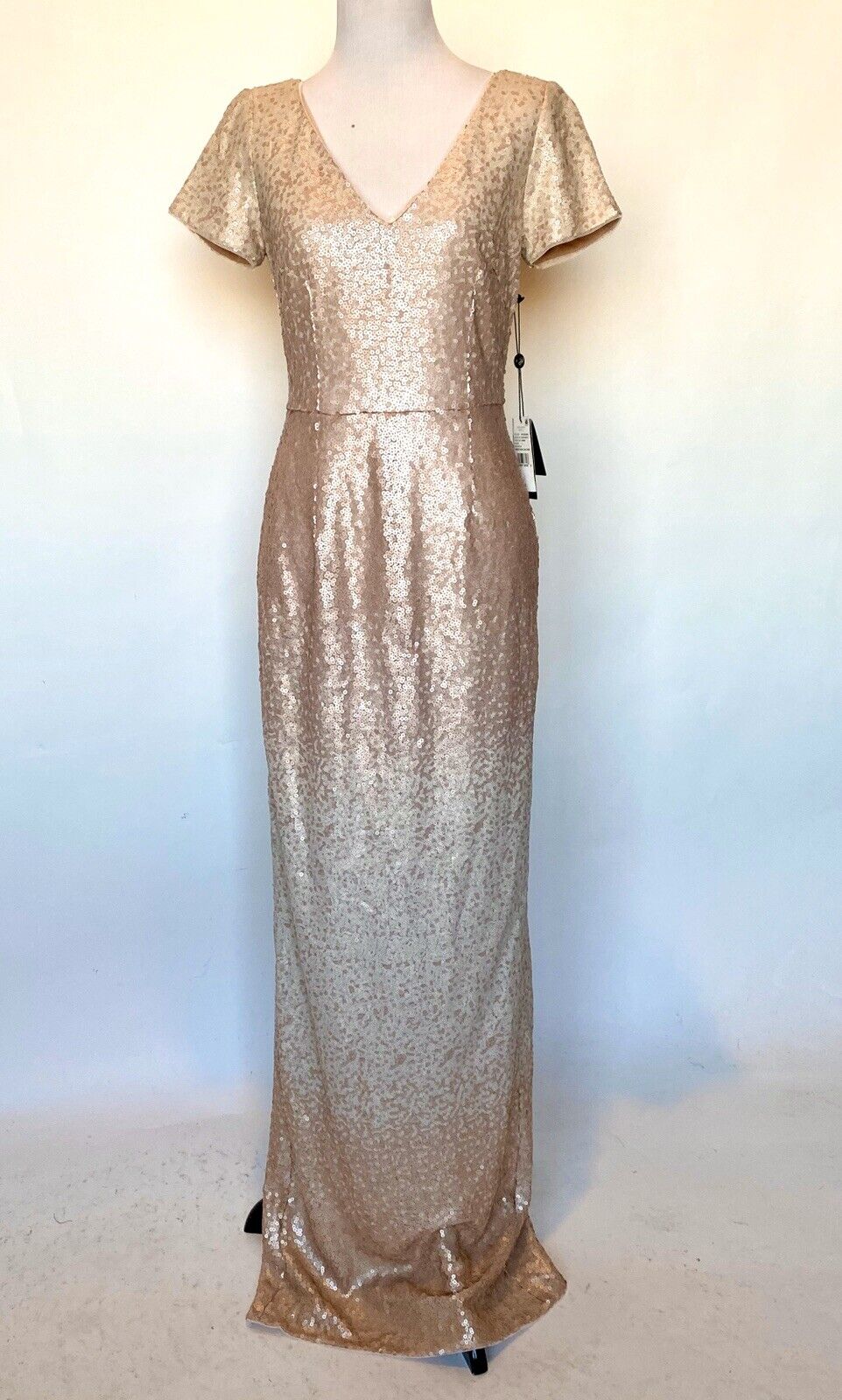 Adrianna Papell Pink Blush Ombré Sequin Gown NWT Size 2 Retails $249 Price $96