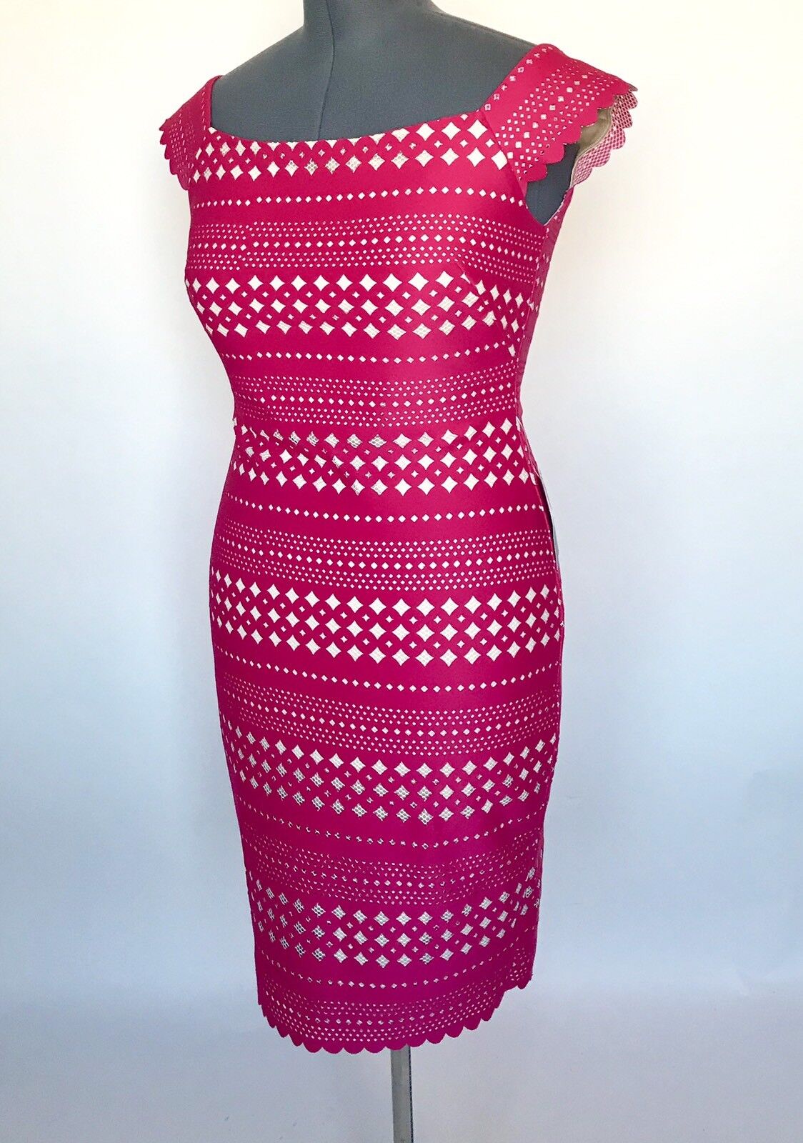 Eliza J Pink  Lazer Cut Dress NWT Retails $128 Price $64 Size 10
