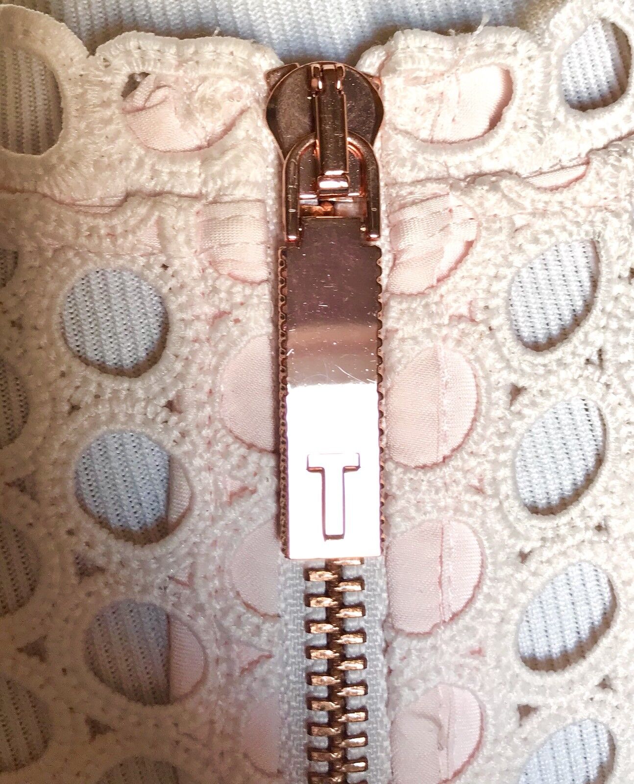 Ted Baker Nude Pink Lace Skater Dress Size 8 Retail $345 Price $207 NWT