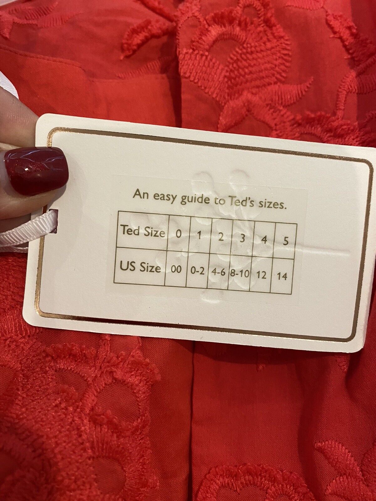 Ted Baker Halterneck Frill Embroidered Dress 1 (US 0-2)Retail $349 Price $115