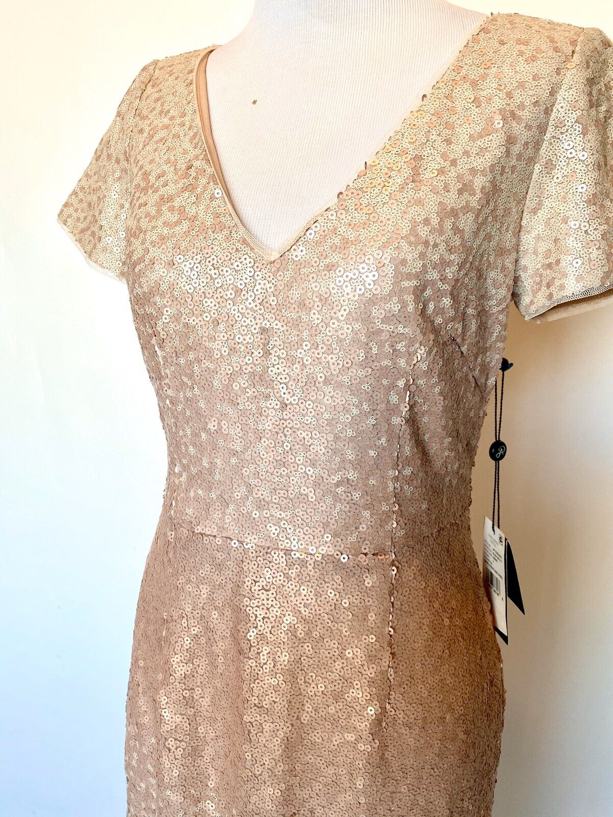Adrianna Papell Pink Blush Ombré Sequin Gown NWT Size 2 Retails $249 Price $96