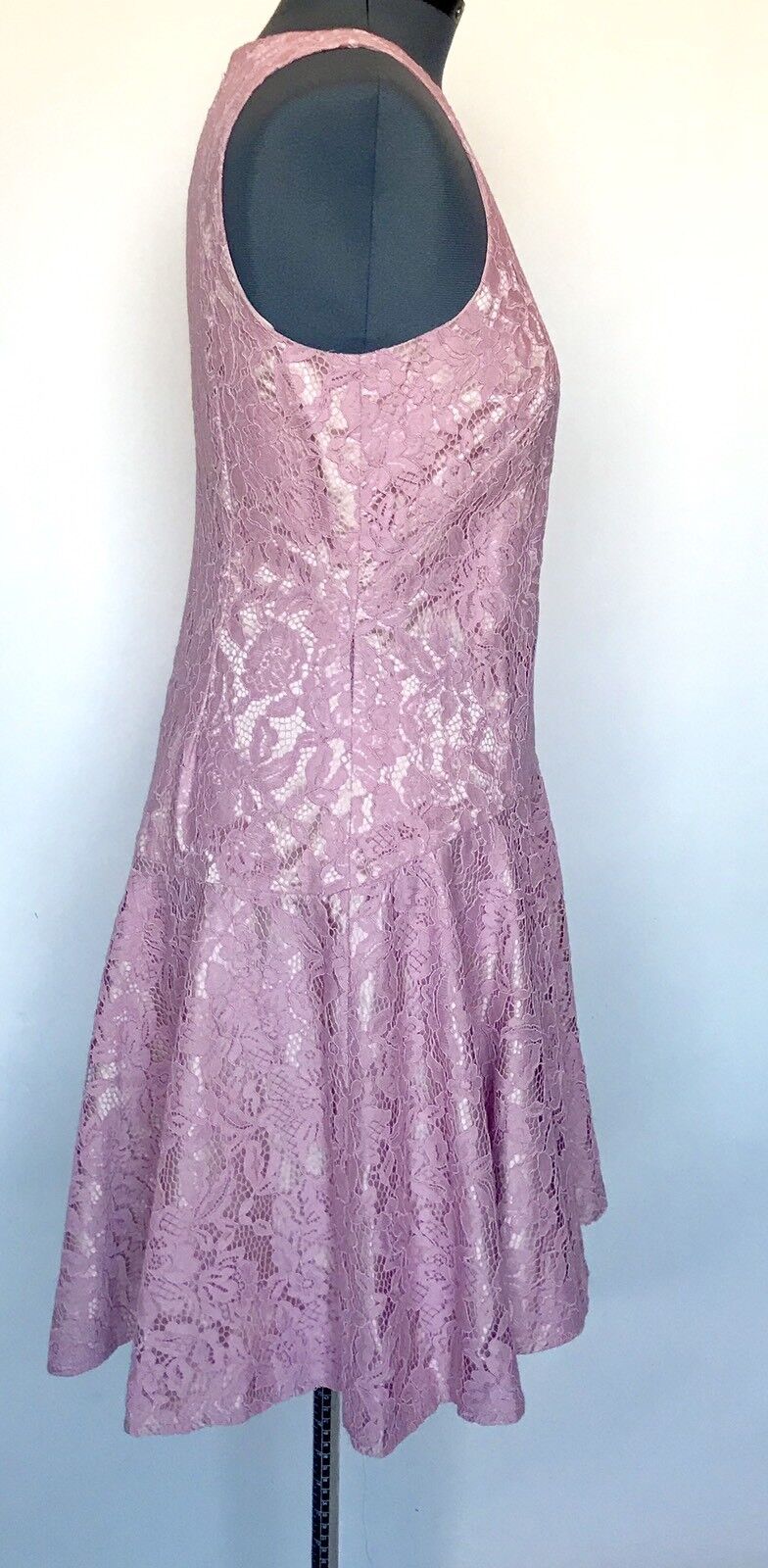 Eliza J Pink Lace Drop Waist Shift Dress NWT Retails $168 Price $69 Size 12