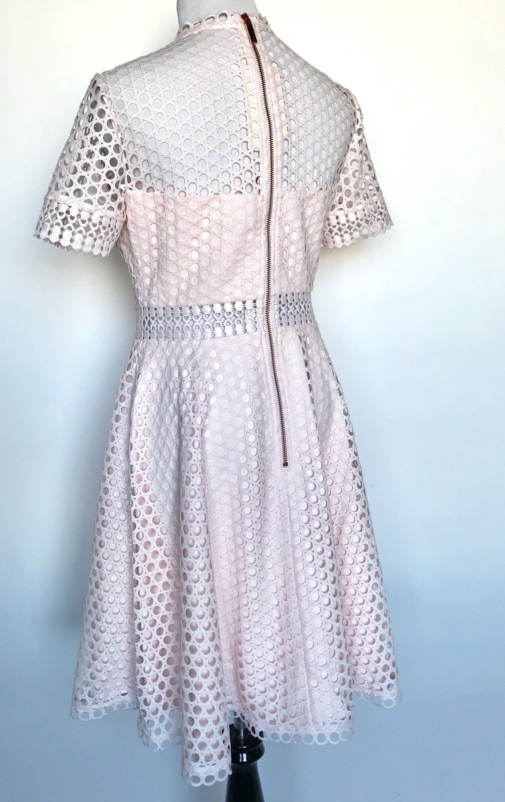 Ted Baker Nude Pink Lace Skater Dress Size 8 Retail $345 Price $207 NWT