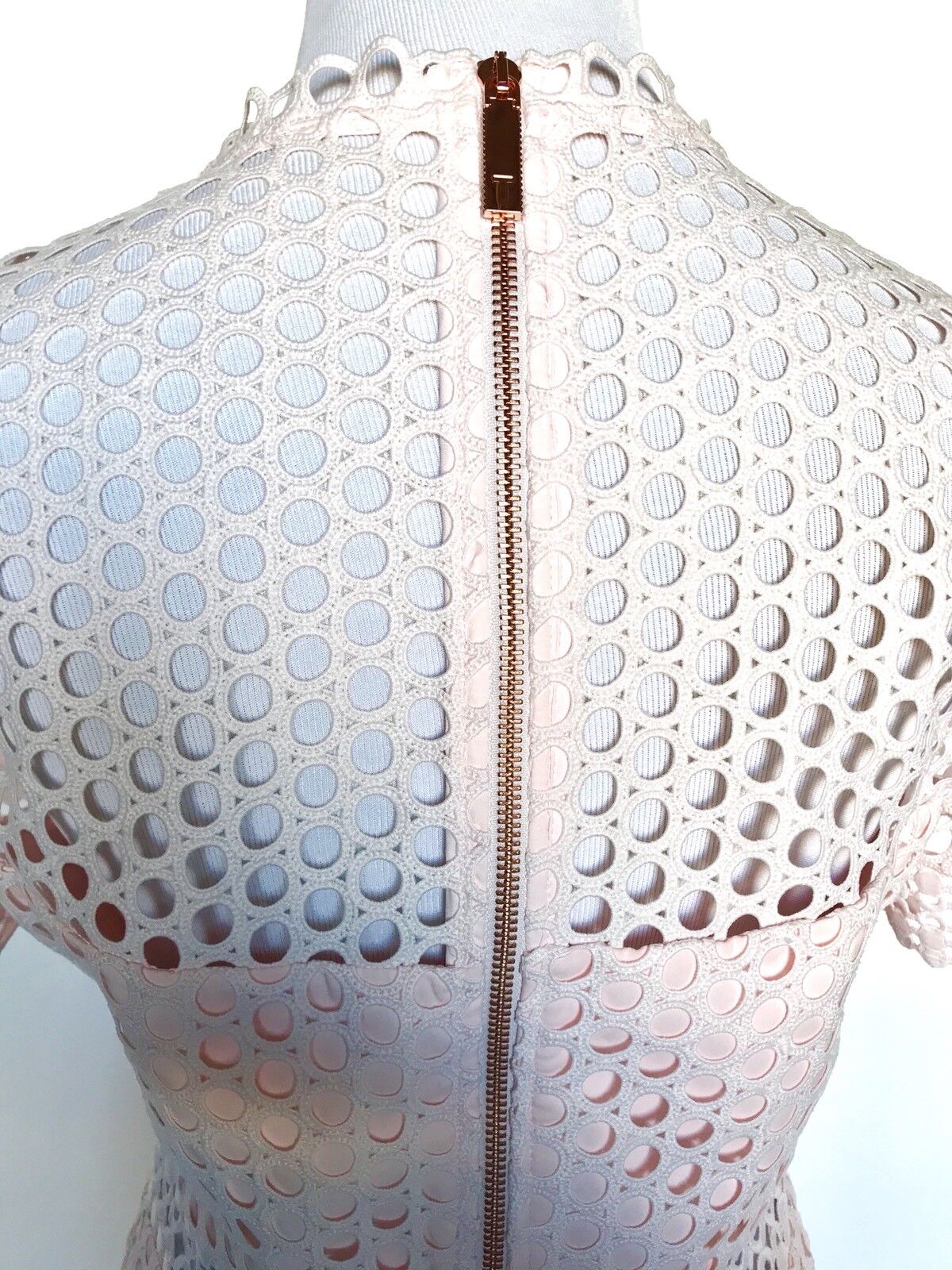 Ted Baker Nude Pink Lace Skater Dress Size 8 Retail $345 Price $207 NWT