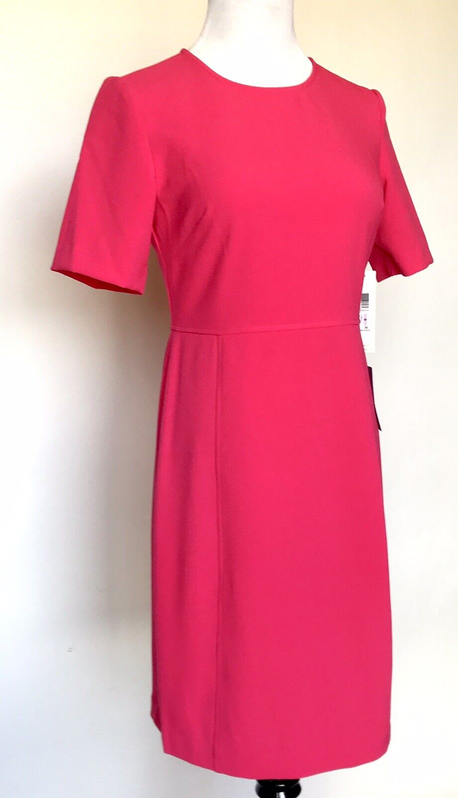 Eliza J  Pink Seam Stretch Sheath Dress NWT Retails $148 Price $69 Size 6