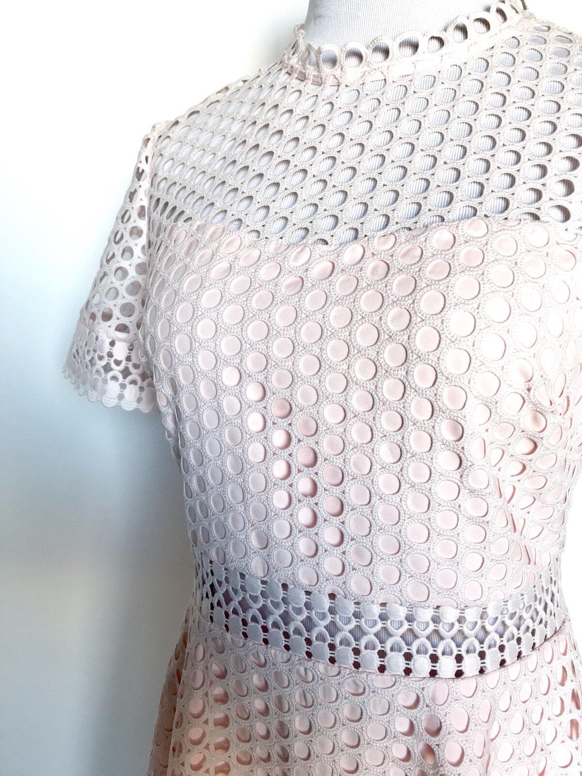 Ted Baker Nude Pink Lace Skater Dress Size 8 Retail $345 Price $207 NWT