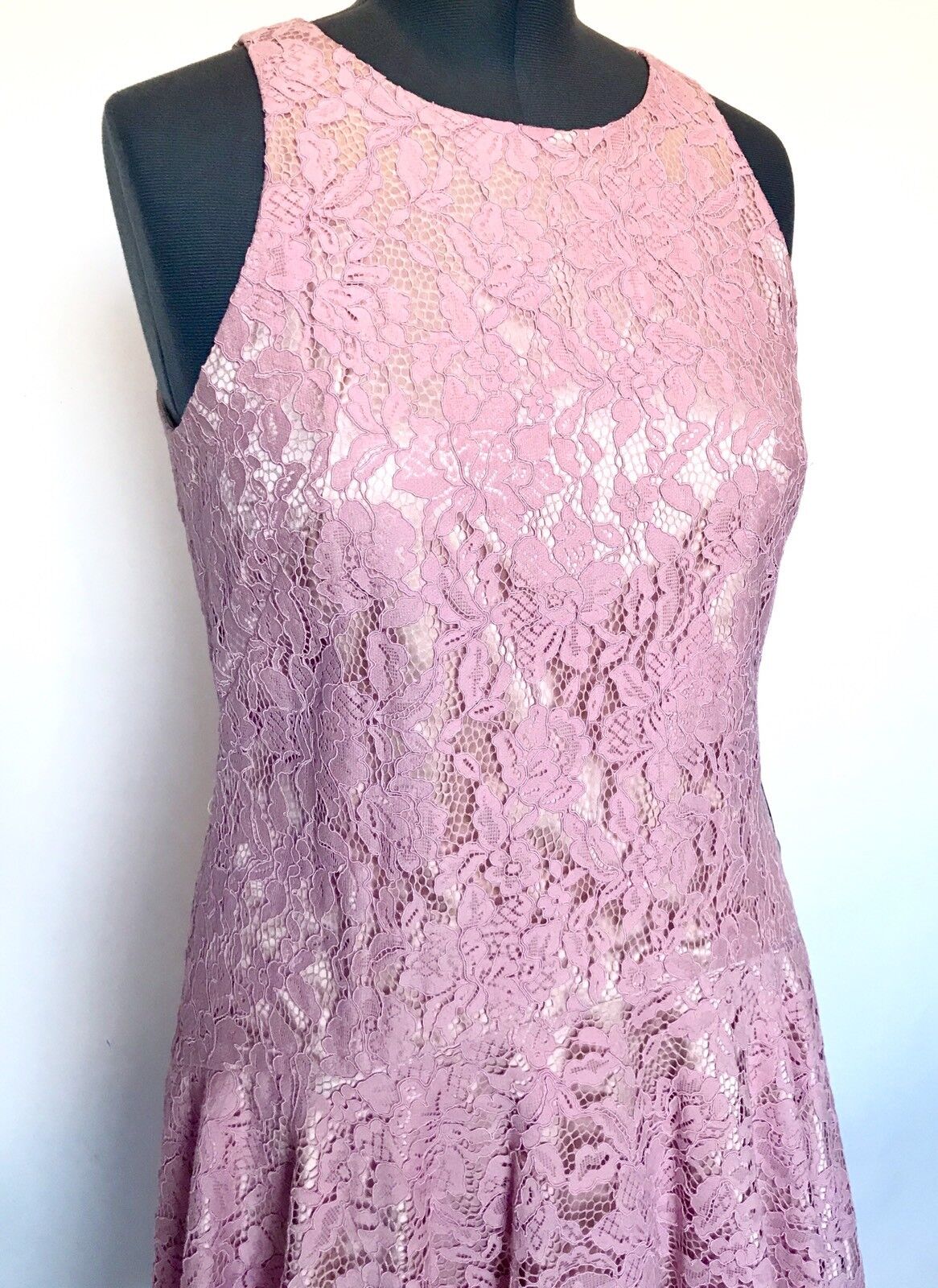 Eliza J Pink Lace Drop Waist Shift Dress NWT Retails $168 Price $69 Size 12