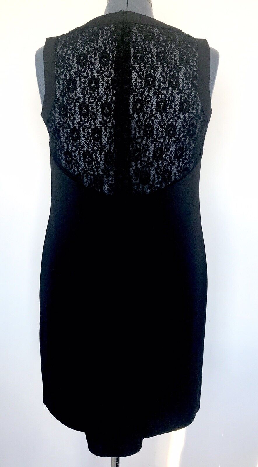 Relished Dainty Dara Lace Back Dress Size L Price $29 NWT