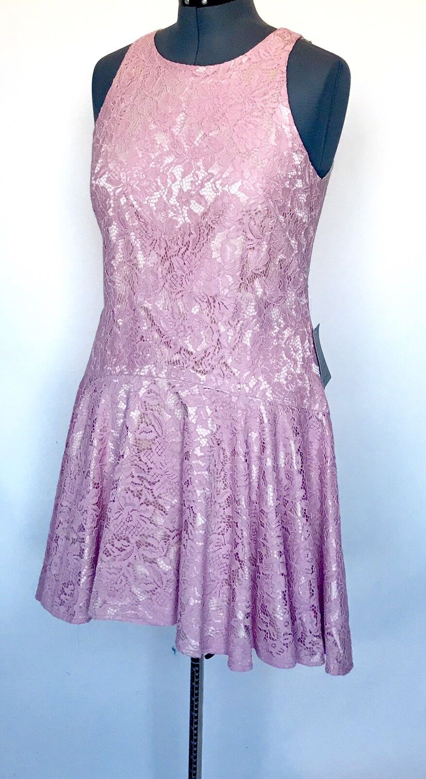 Eliza J Pink Lace Drop Waist Shift Dress NWT Retails $168 Price $69 Size 12