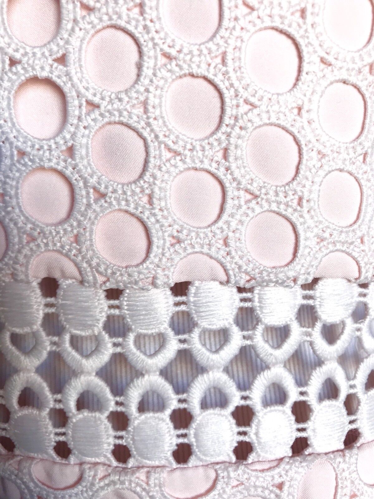 Ted Baker Nude Pink Lace Skater Dress Size 8 Retail $345 Price $207 NWT