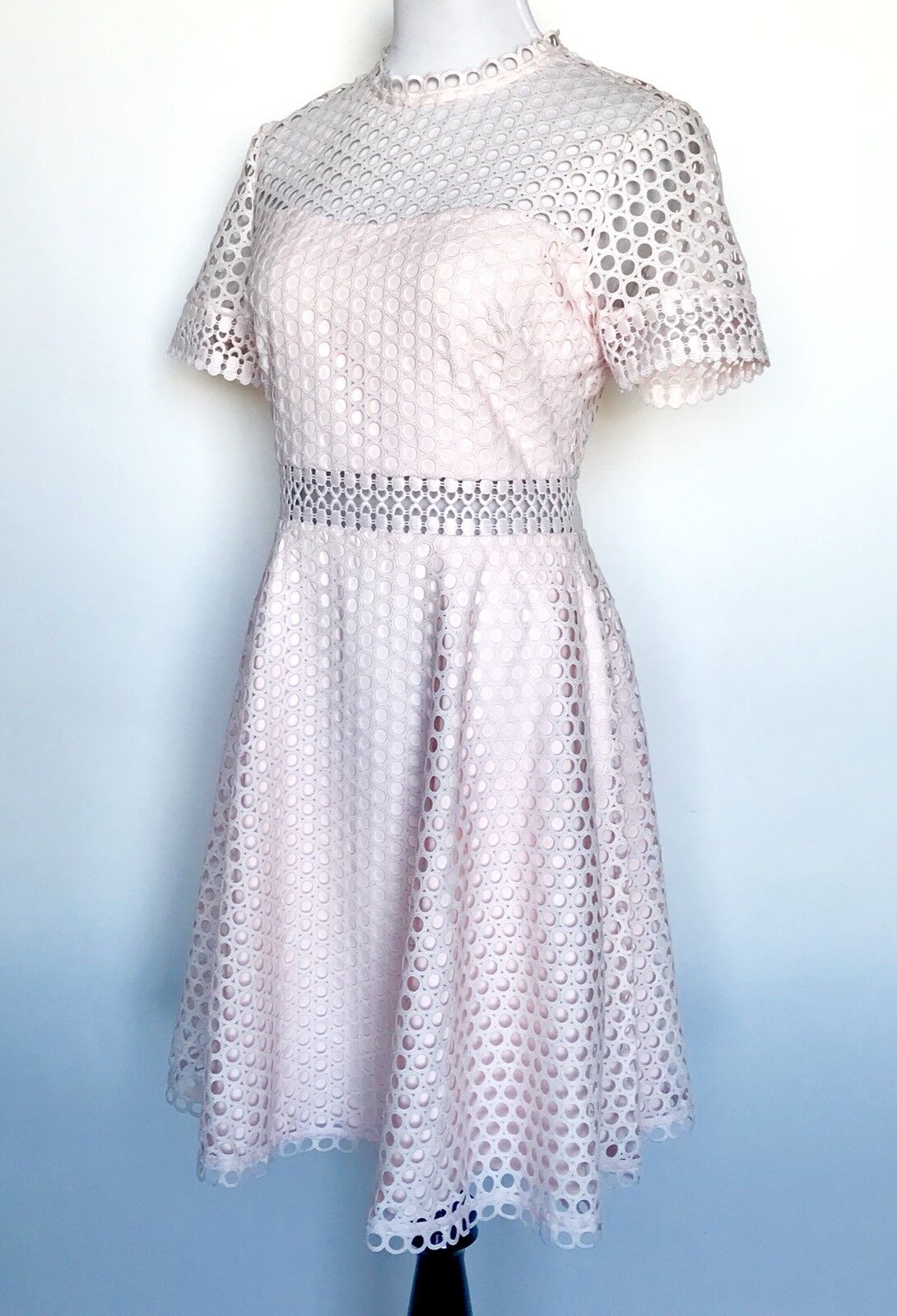 Ted Baker Nude Pink Lace Skater Dress Size 8 Retail $345 Price $207 NWT