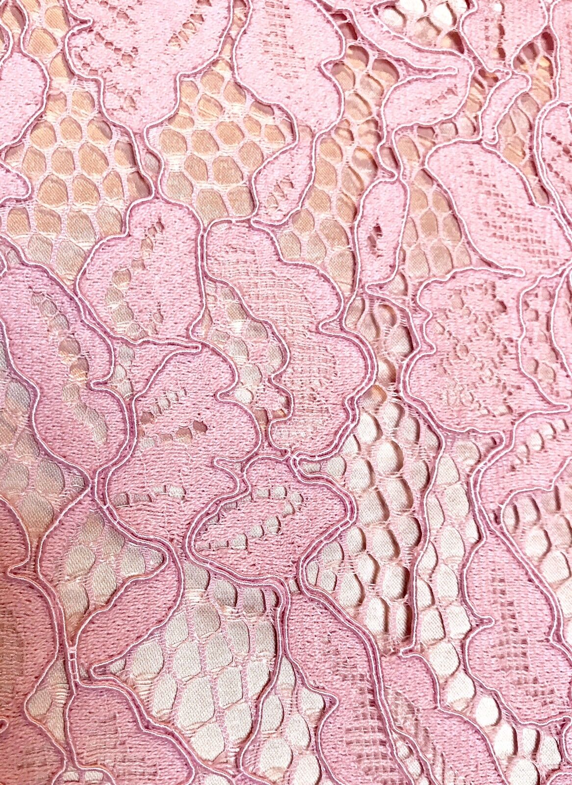 Eliza J Pink Lace Drop Waist Shift Dress NWT Retails $168 Price $69 Size 12