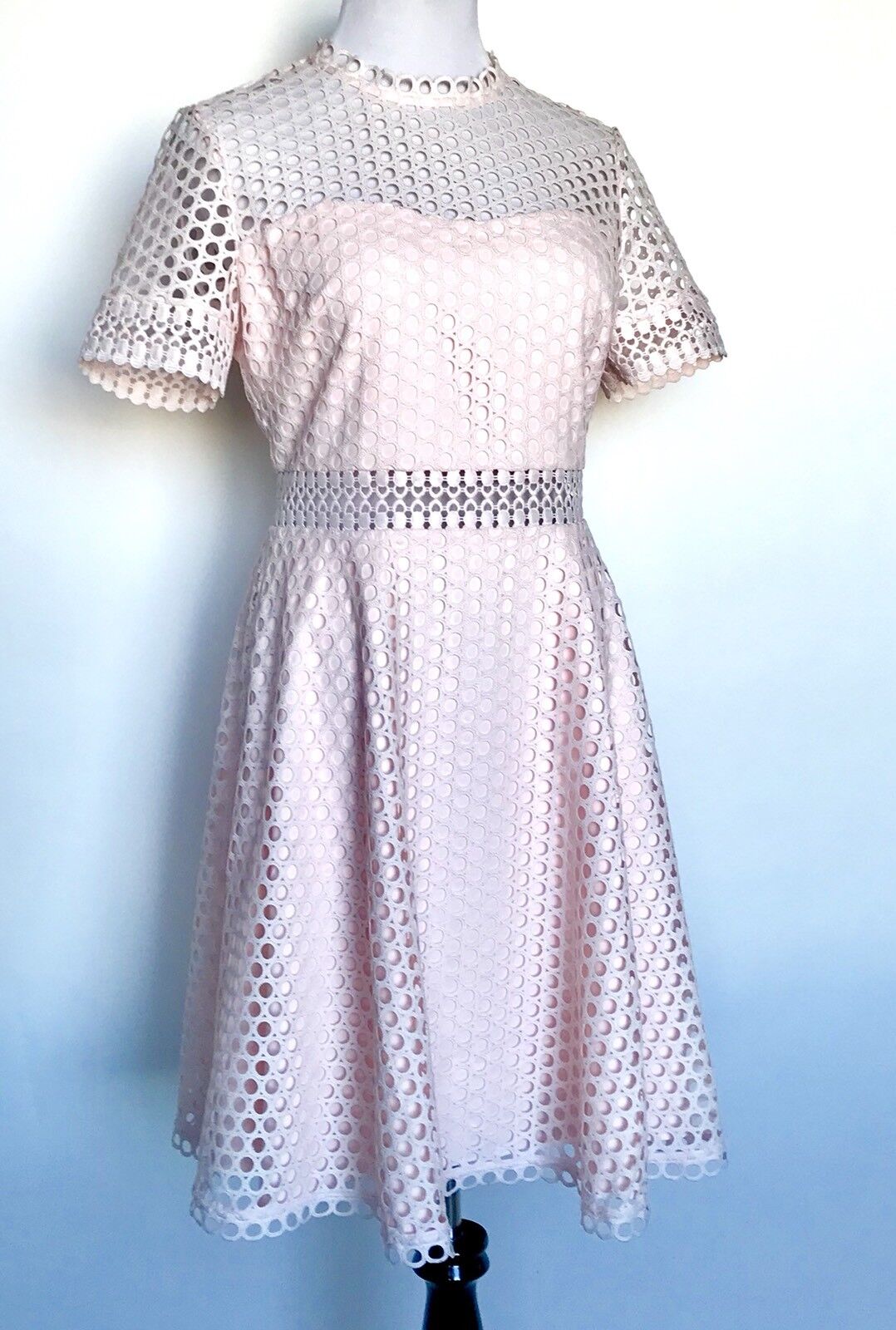 Ted Baker Nude Pink Lace Skater Dress Size 8 Retail $345 Price $207 NWT