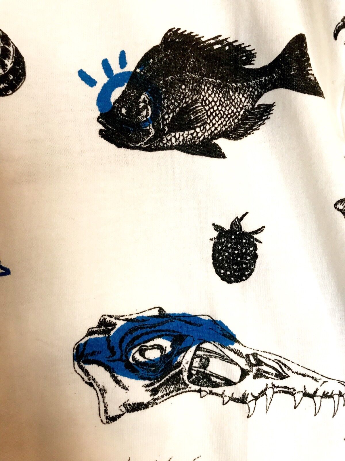 Billy Bandit Bug & Dinosaur Skeleton LS Top. Retails $41 Price $29 Age 10 NWT