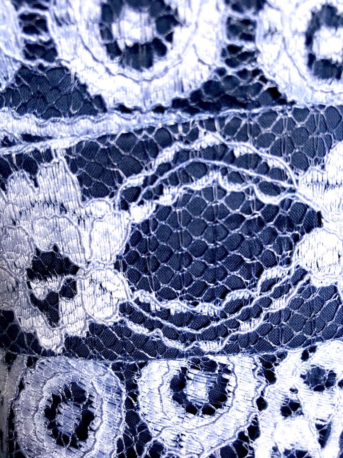 Eliza J Navy Blue & Lilac Lace Dress  NWT Retails $178 Price $69 Size 14P