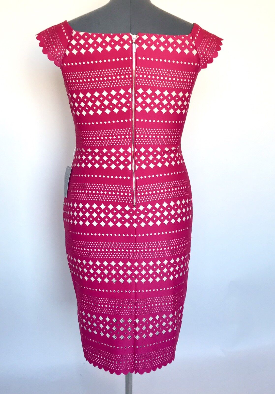 Eliza J Pink  Lazer Cut Dress NWT Retails $128 Price $64 Size 10