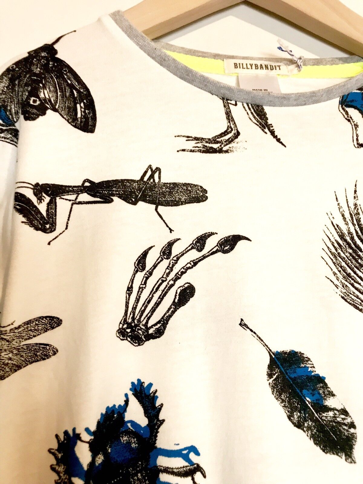 Billy Bandit Bug & Dinosaur Skeleton LS Top. Retails $41 Price $29 Age 10 NWT