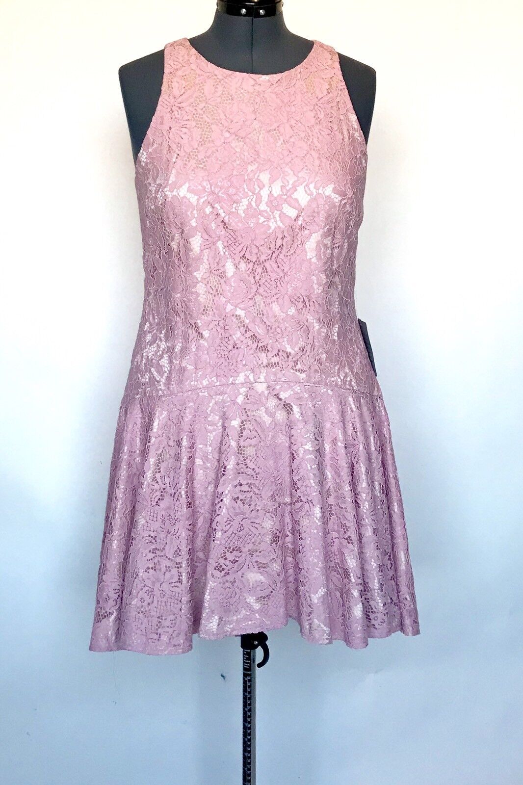 Eliza J Pink Lace Drop Waist Shift Dress NWT Retails $168 Price $69 Size 12